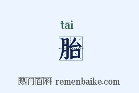 胎是什么意思的图片